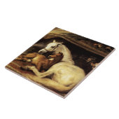 DER ARABISCHE ZELT MIT PFERDEN UND ANDEREN TIEREN FLIESE (Seite)