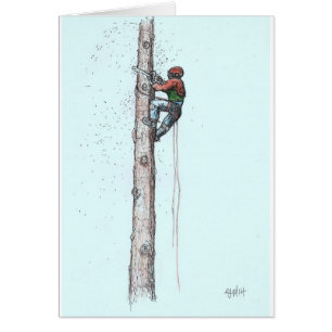 Der Arborist-Baumchirurg