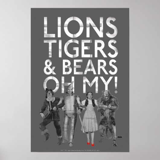 Der Assistent von OZ™ | Löwen Tigers & Bars Oh My! Poster (Vorne)