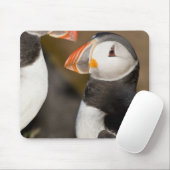Der Atlantik-Papageientaucher Mousepad (Mit Mouse)
