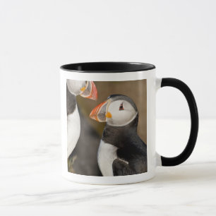 Der Atlantik-Papageientaucher Tasse