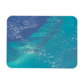 Der Atlantik vor der Küste der Bahamas Magnet (Horizontal)