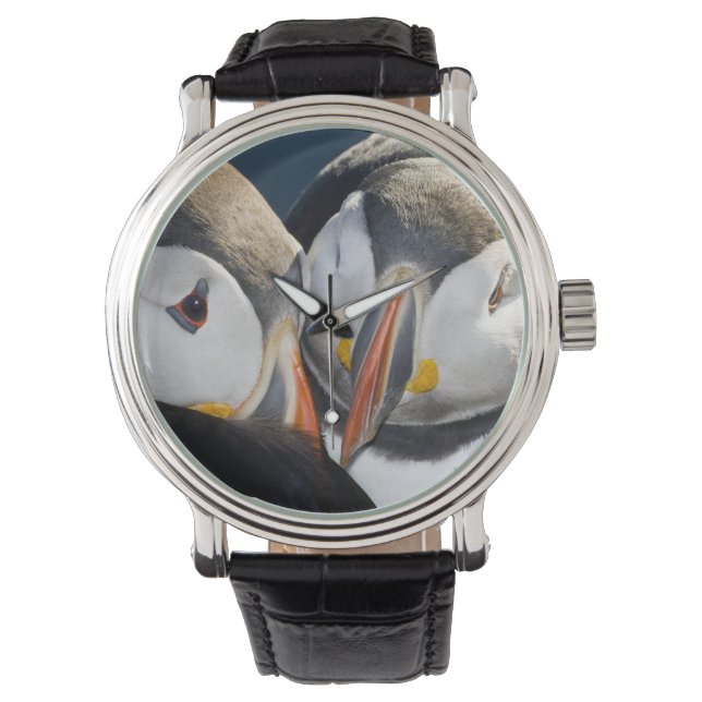 Der Atlantische Puffin, ein pelagischer Seevögel Armbanduhr (Vorderseite)