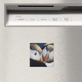 Der Atlantische Puffin, ein pelagischer Seevögel Magnet (In Situ (Geschirrspüler))
