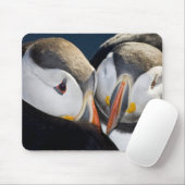 Der Atlantische Puffin, ein pelagischer Seevögel Mousepad (Mit Mouse)