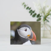 Der Atlantische Puffin, ein pelagischer Seevögel Postkarte (Stehend Vorderseite)