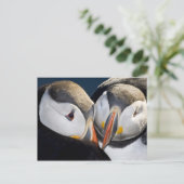 Der Atlantische Puffin, ein pelagischer Seevögel Postkarte (Stehend Vorderseite)