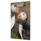 Der Atlantische Puffin Klemmbrett (Links)