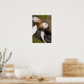 Der Atlantische Puffin Poster (Küche)