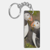 Der Atlantische Puffin Schlüsselanhänger (Vorderseite links)