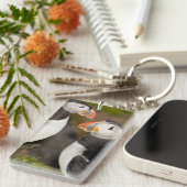 Der Atlantische Puffin Schlüsselanhänger (Vorderseite rechts)