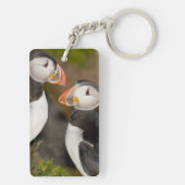Der Atlantische Puffin Schlüsselanhänger (Rückseite)