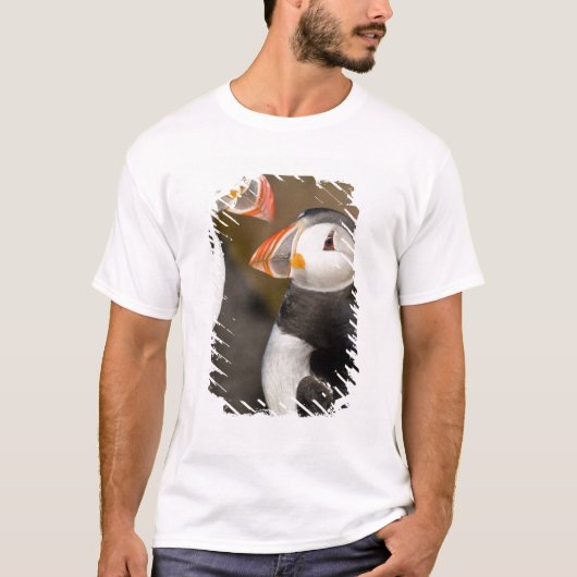 Der Atlantische Puffin T-Shirt (Vorderseite)