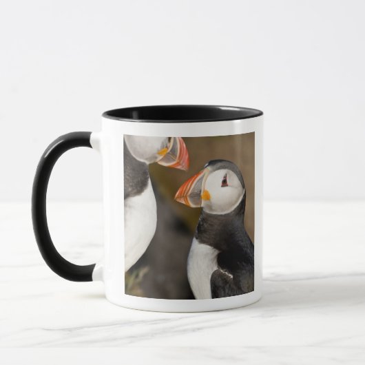 Der Atlantische Puffin Tasse (Links)