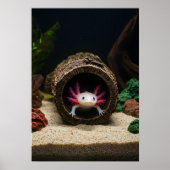 Der Aufenthalt des Axolotl Poster (Vorne)