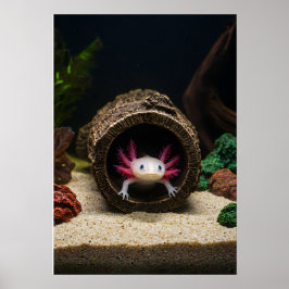 Der Aufenthalt des Axolotl Poster