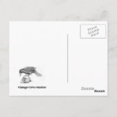 Der Aufersteher Postkarte (Rückseite)