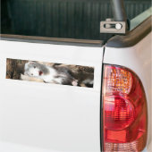 Der Ausblick Autoaufkleber (Auf Lkw)
