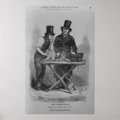 Der Austernstall Poster (Vorne)