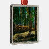 Der Auto-LOGON-riesige Wald, Rothölzer Silbernes Ornament (Rechts)