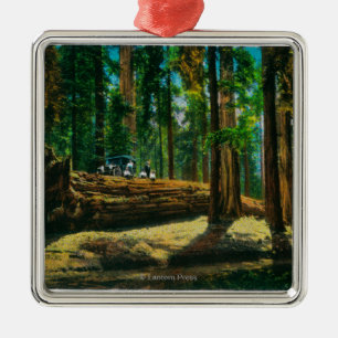 Der Auto-LOGON-riesige Wald, Rothölzer Silbernes Ornament