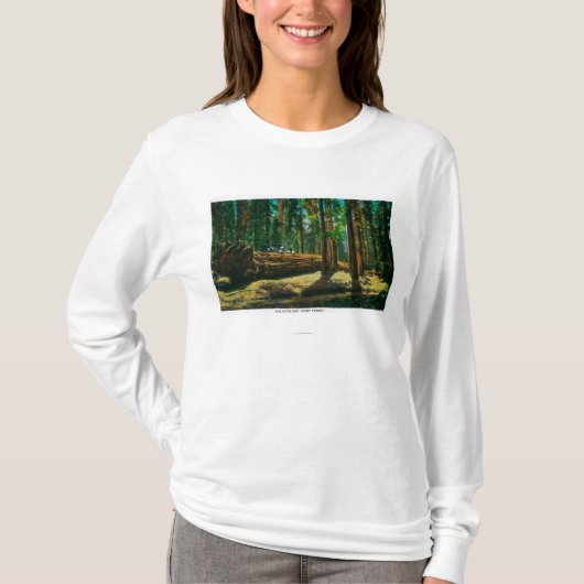 Der Auto-LOGON-riesige Wald, Rothölzer T-Shirt (Vorderseite)