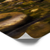 Der Bach Poster (Ecke)