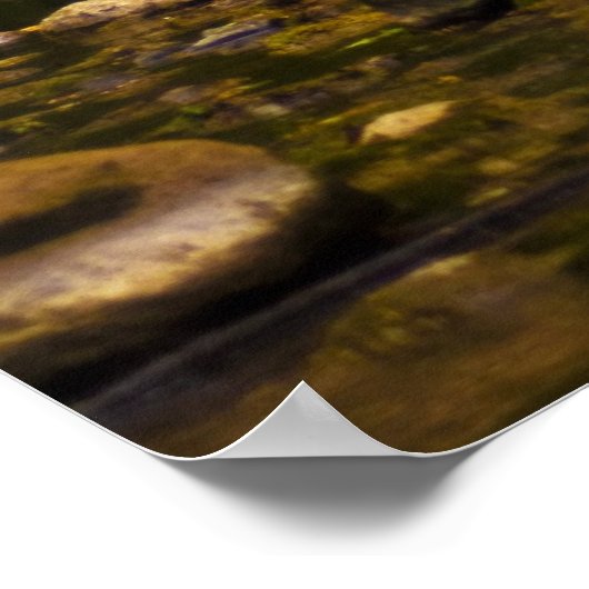 Der Bach Poster (Ecke)