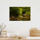 Der Bach Poster (Küche)