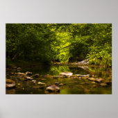 Der Bach Poster (Vorne)