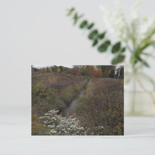 Der Bach Postkarte (Stehend Vorderseite)