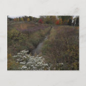 Der Bach Postkarte (Vorderseite)