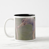 Der Badegast oder der Taucher, 1877 Zweifarbige Tasse (Links)