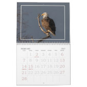 Der Bald-Adler Kalender (Feb 2027)