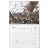 Der Bald-Adler Kalender (Jan 2027)