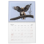 Der Bald-Adler Kalender (Mär 2027)