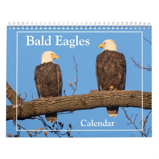 Der Bald-Adler Kalender (Titelbild)
