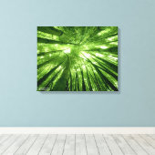 Der Bambuswald Leinwanddruck (Insitu (Holzboden))