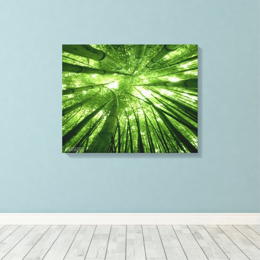 Der Bambuswald Leinwanddruck (Insitu (Holzboden))