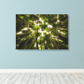 Der Bambuswald Leinwanddruck (Insitu (Holzboden))