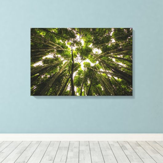 Der Bambuswald Leinwanddruck (Insitu (Holzboden))