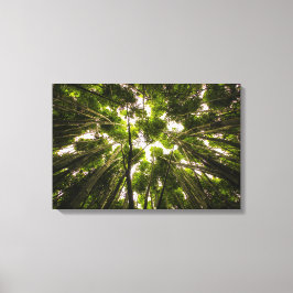 Der Bambuswald Leinwanddruck