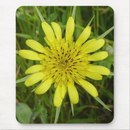 Der Bart der gelben Ziege der Wildblume-F9 Mousepad