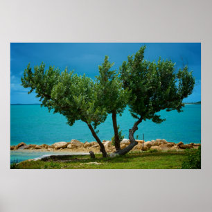 Der Baum "Alles was du brauchst ist Liebe" ! Poster