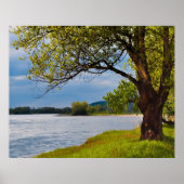 Der Baum auf der Bank Poster (Vorne)