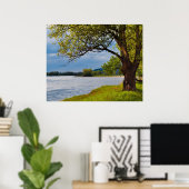 Der Baum auf der Bank Poster (Heimbüro)