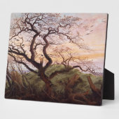 Der Baum der Krähen, 1822 Fotoplatte (Seite)