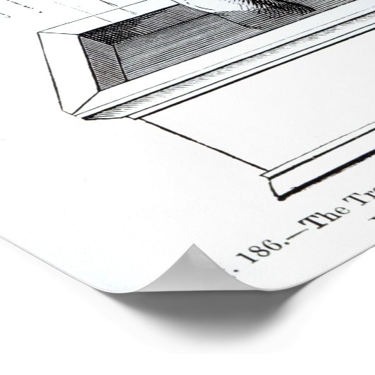 Der Baum des Lebens oder der weiche Baum Poster (Ecke)