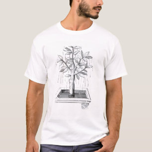 Der Baum des Lebens oder der weinende Baum T-Shirt