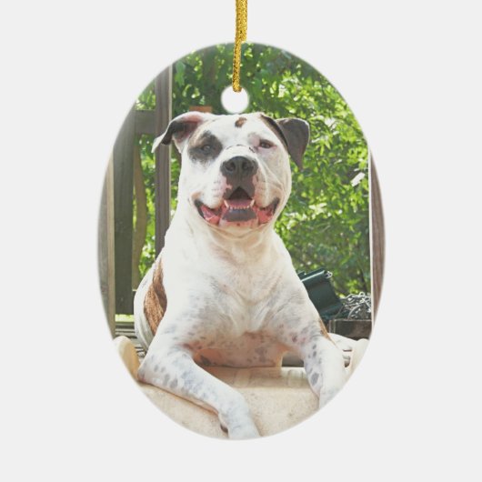 Der Baum-Haus des Pitbull-förmigen Knochens Keramikornament (Vorne)